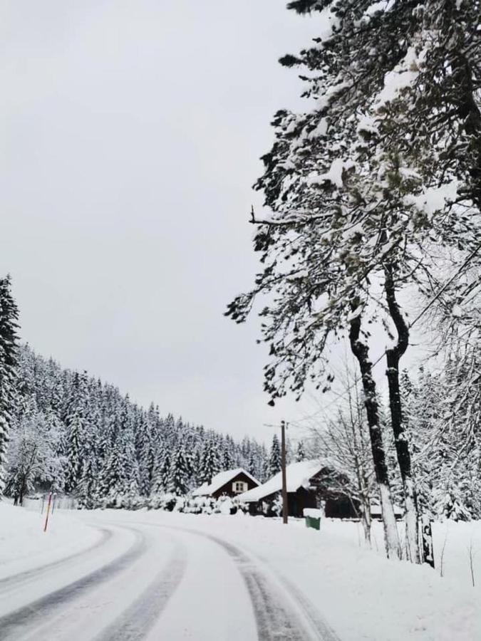 Forest Chalet Zalesina Exterior foto